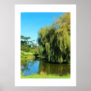 Weeping willow tree and lake poster