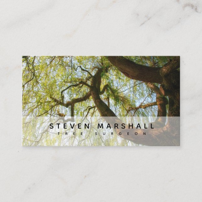 Weeping Willow Tree Surgeon US Business Card (Front)