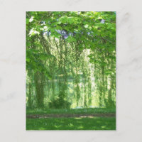 Weeping Willows with Pond