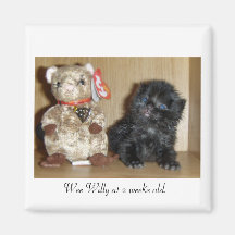 WEEWILLYvs4inchBB-1, Wee Willy at 2 weeks old.