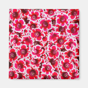 Weigela Florida Flowers Magnet