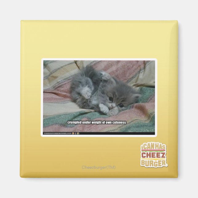 Weight of own cuteness magnet (Front)