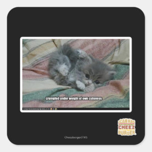 Weight of own cuteness square sticker