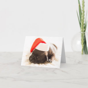 Weihnachtswelpe Holiday Card