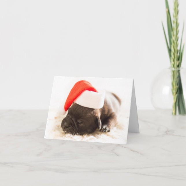 Weihnachtswelpe Holiday Card (Front)