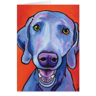 Weimaraner