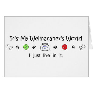 Weimaraner