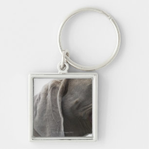 Weimaraner 3 key ring