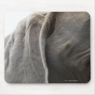 Weimaraner 3 mouse pad