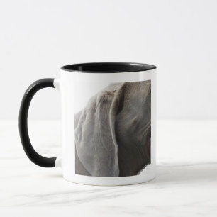 Weimaraner 3 mug