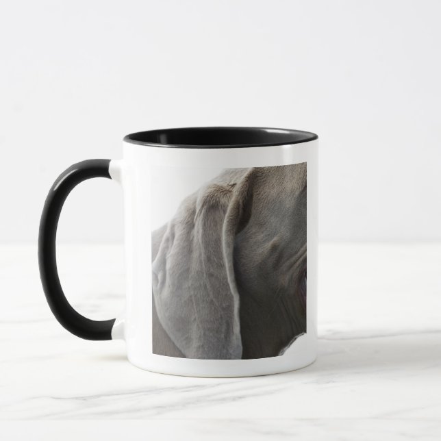 Weimaraner 3 mug (Left)