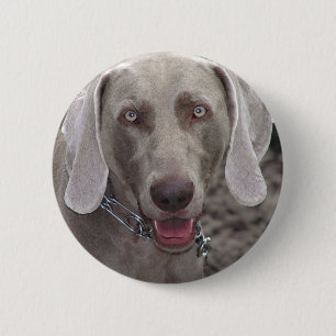 Weimaraner 6 Cm Round Badge