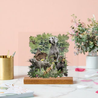 Weimaraner Art Acrylic Sign