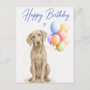 Weimaraner Birthday Postcard