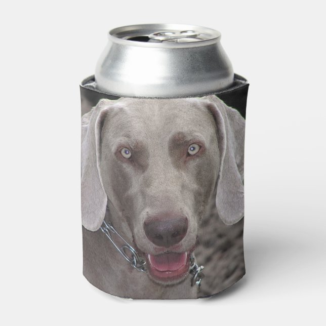 Weimaraner Can Cooler (Can Front)
