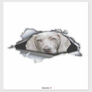Weimaraner Car stickers Weimaraner sticker