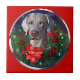 Weimaraner Christmas Tile
