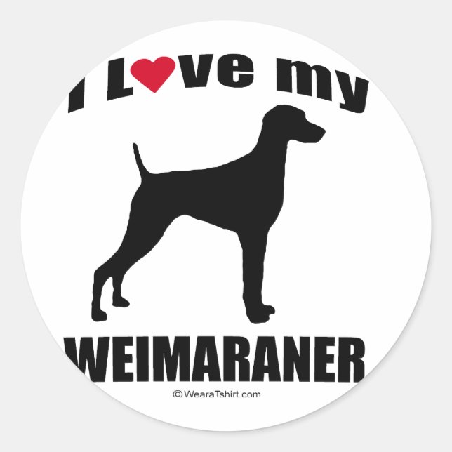 Weimaraner Classic Round Sticker (Front)