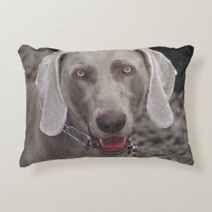 Weimaraner Decorative Cushion