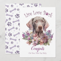 Weimaraner Dog Adoption, Gotcha Day
