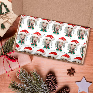 Weimaraner Dog Breed Christmas Stars Tissue Paper