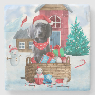 Weimaraner Dog In snow Christmas Dog House Stone Coaster
