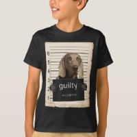Weimaraner Dog mug shot bad dog