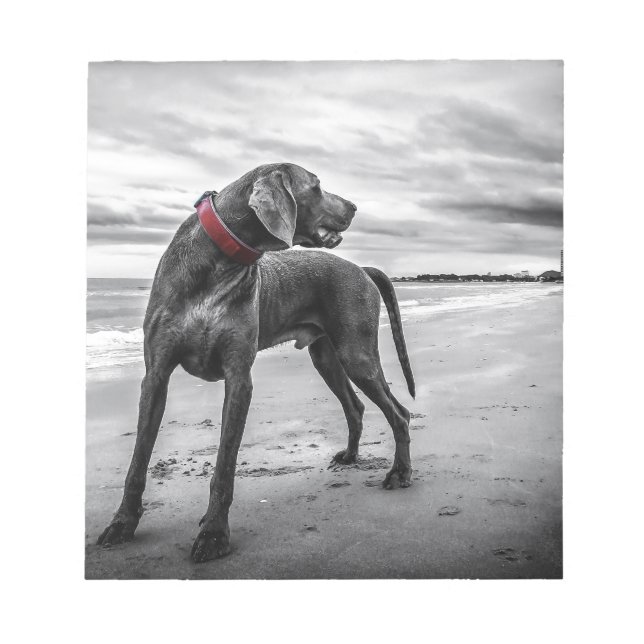 Weimaraner Dog Notepad (Front)