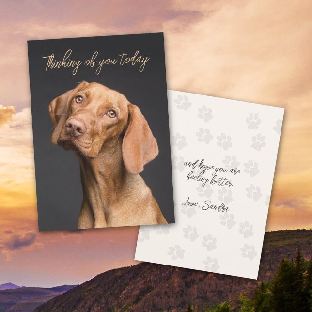 Weimaraner Dog Thinking of You Card (Creator Uploaded)