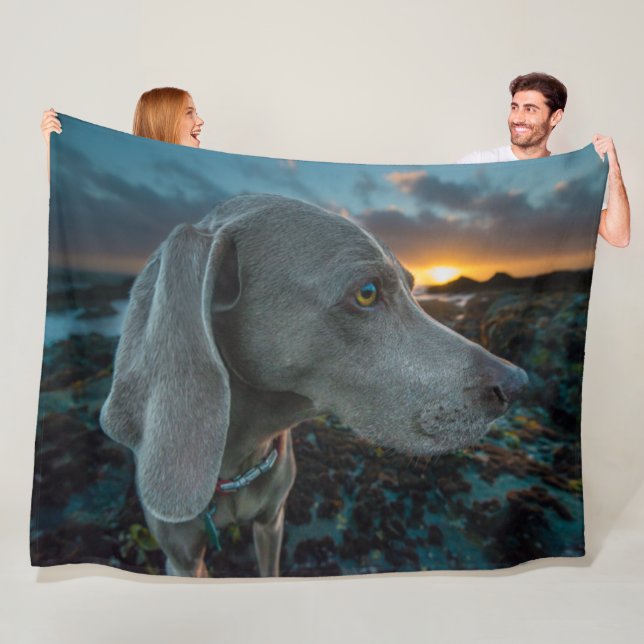 WEIMARANER FLEECE BLANKET (In Situ)