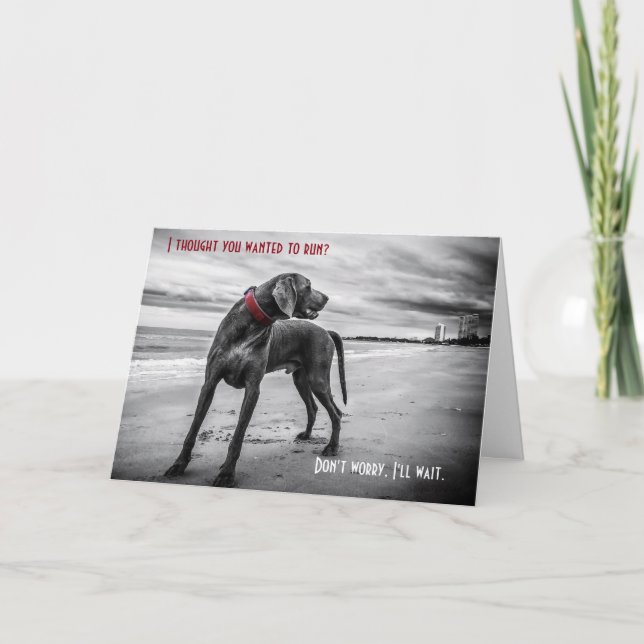 Weimaraner funny birthday card (Front)