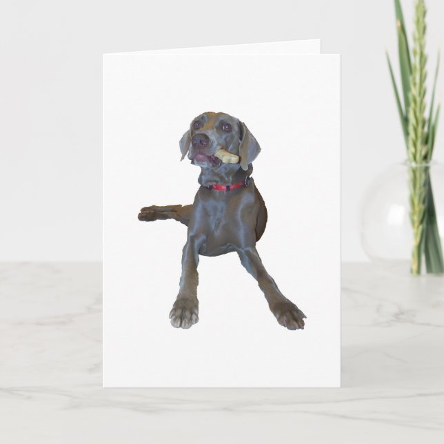 Weimaraner Greeting Cards (Front)