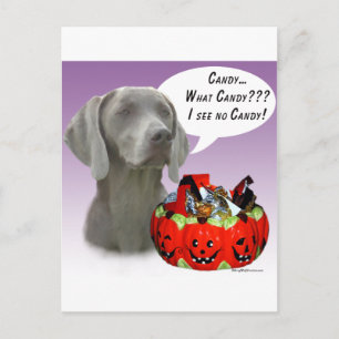 Weimaraner Halloween Candy Postcard