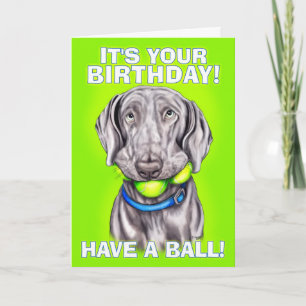 Weimaraner Have a Ball Card