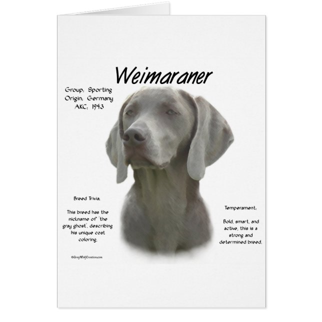 Weimaraner History Design (Front)