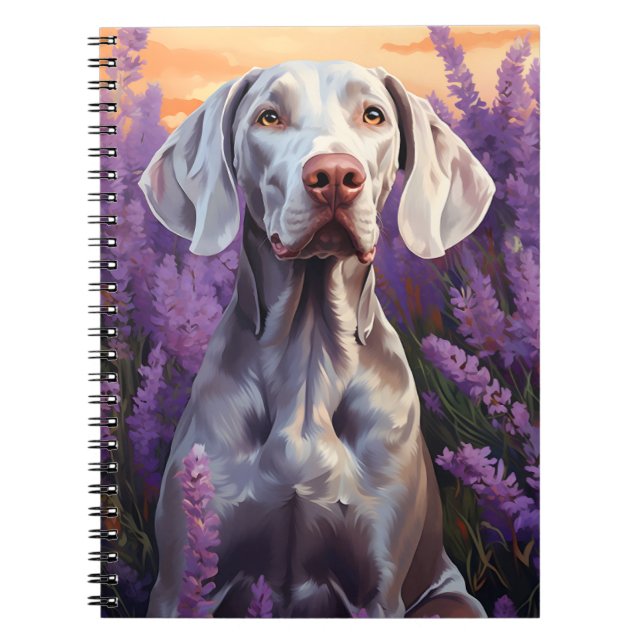 Weimaraner in Lavender field Notebook (Front)