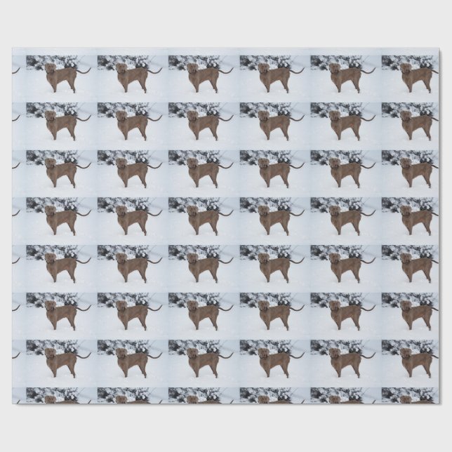 Weimaraner In Winter Wrapping Paper (Flat)