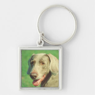 Weimaraner Key Ring