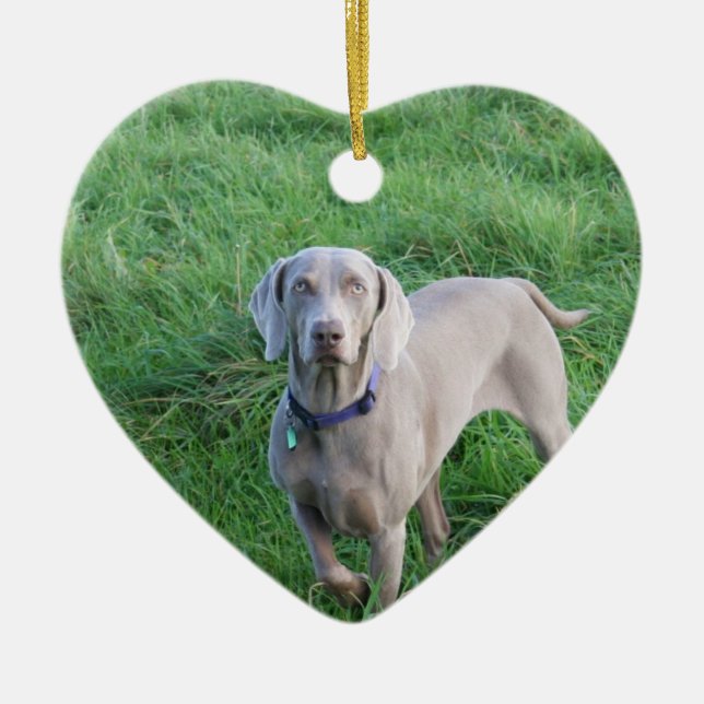 Weimaraner Lovers Ornament (Front)