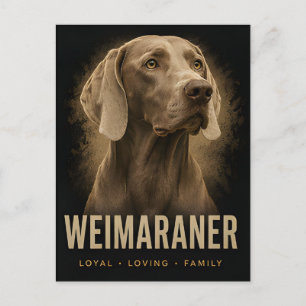 Weimaraner Loyal Loving Family Dog Portrait Postcard
