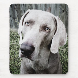 Weimaraner Mouse Pad