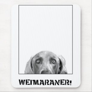 Weimaraner Nation : Weimaraner In A Box! Mouse Pad