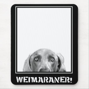 Weimaraner Nation : Weimaraner In A Box! Mouse Pad
