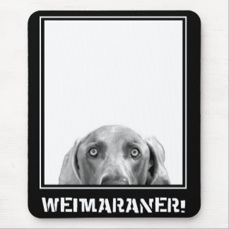 Weimaraner Nation : Weimaraner In A Box! Mouse Pad