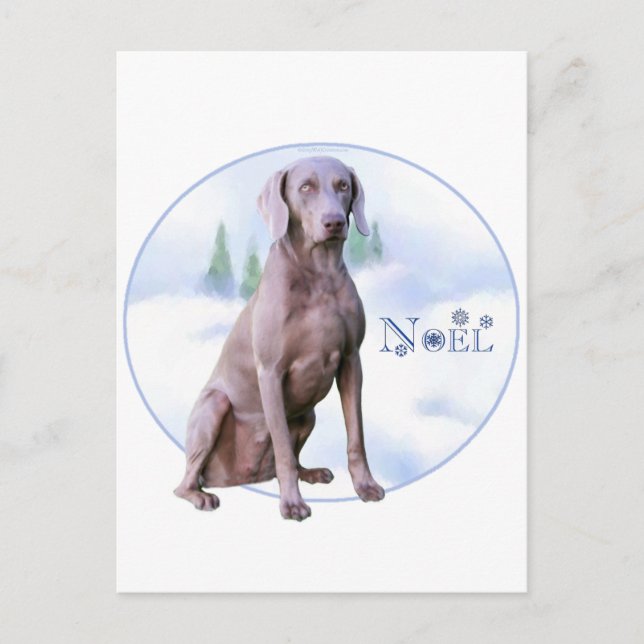 Weimaraner Noel Holiday Postcard (Front)
