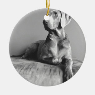 Weimaraner Portrait Ceramic Tree Decoration
