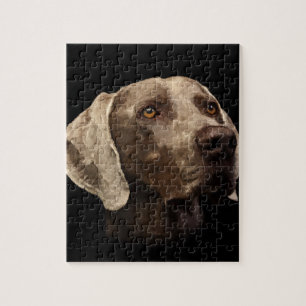 Weimaraner Portrait Jigsaw Puzzle