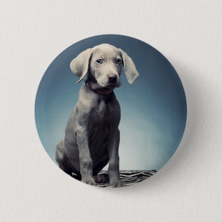 Weimaraner puppy 6 cm round badge