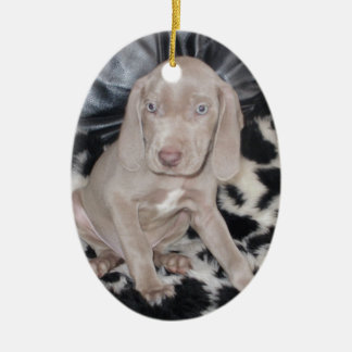 Weimaraner Puppy Ceramic Tree Decoration