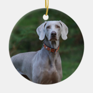 Weimaraner Puppy Dog Ceramic Tree Decoration
